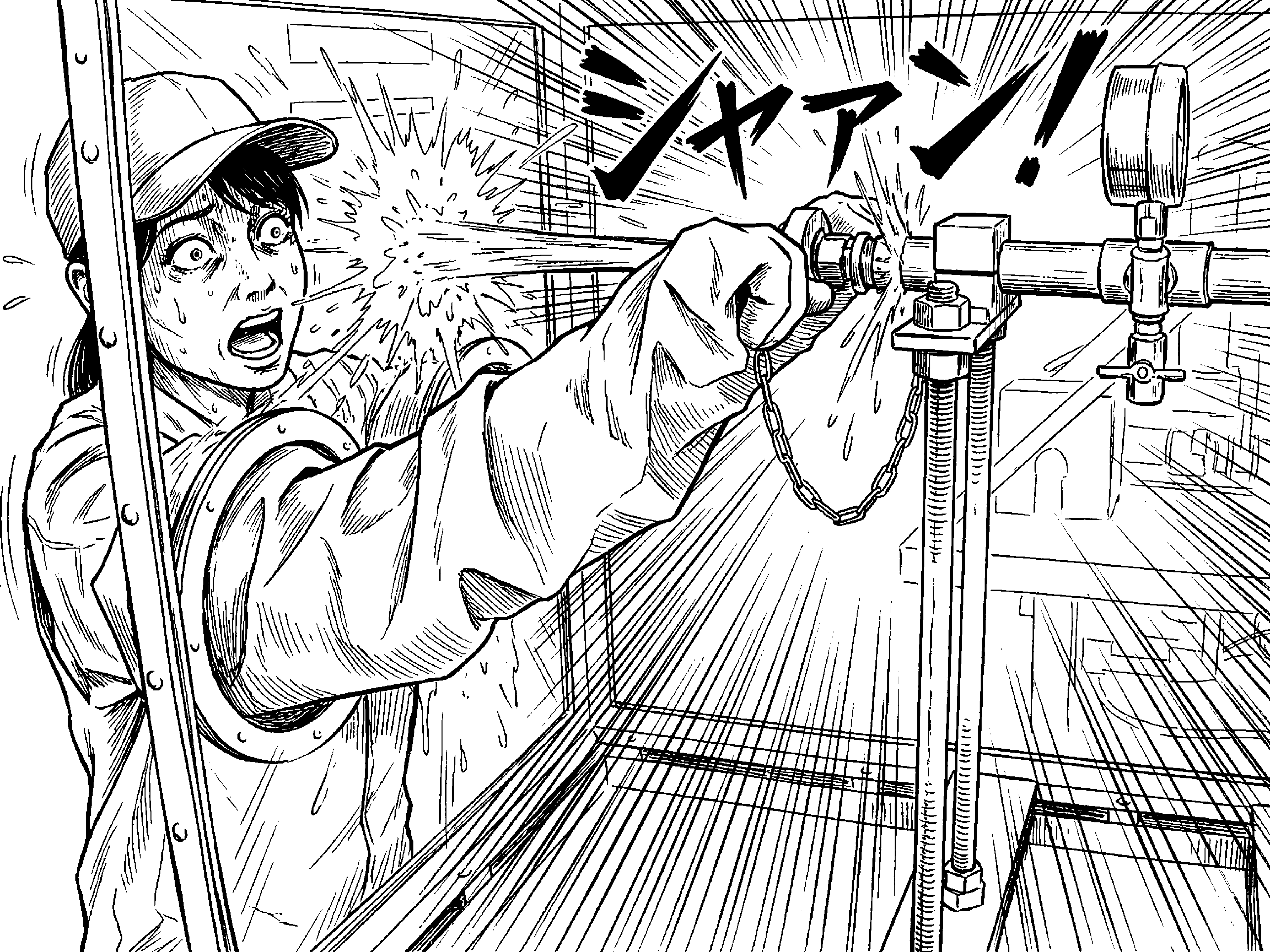 ACSEL2040 高圧力（水圧）安全体感装置